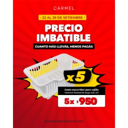 PROMO X5 - CESTA ESCURRIDOR PARA VAJILLA